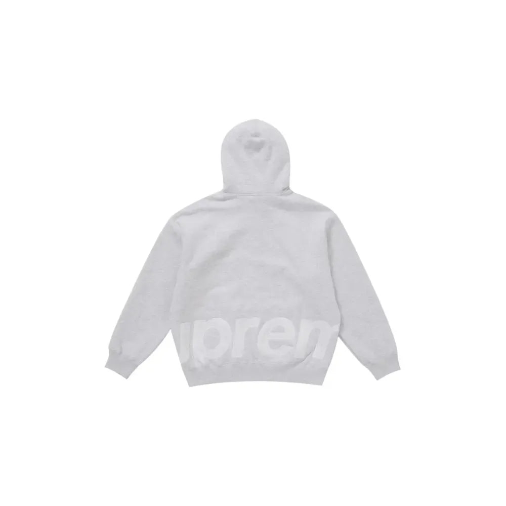 Big Logo Zip Up Hooded Sweatshirt Grey
